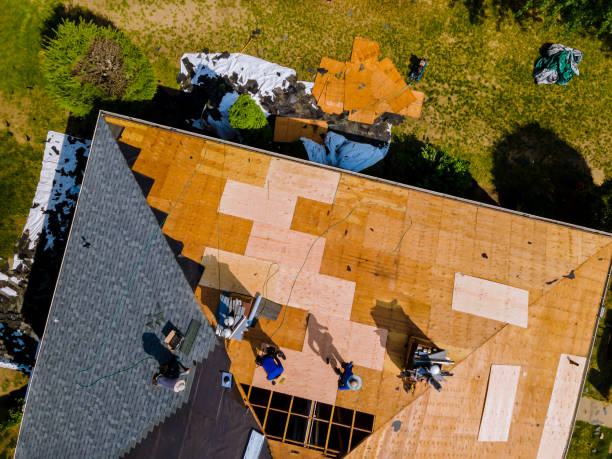 Best Roof Maintenance Services  in Tobaccoville, NC